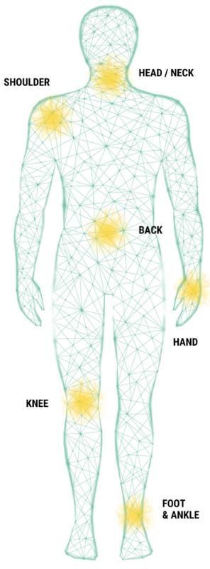 Sprint_Body Map